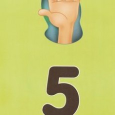 Eğitici Materyal: Sayı 5 - Cinco (İspanyolca)