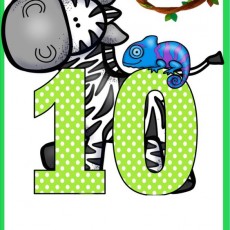 Zebra ve Kamelyon ile Sayılar Öğrenimi: 10 (ON)