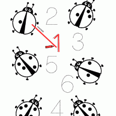 Ladybug Counting Activity: 1 to 6 Numbers with Visual Examples