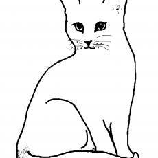Kedi Çizimi - Çocuklar için Hayvanlar Eğitimi