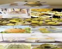 arı etkınlıği (64)