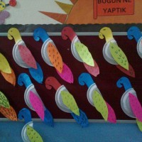 Artık Materyaller,Proje Çalişması, Sınıf Süsleme ,Kapı Süsü, Sayı Birleştirme,Arı Çalişması ,Balık ,Kuş ,Baykuş,Maymun ,Kurbağa Çalişması(1971)